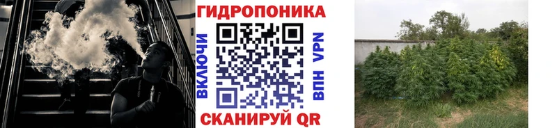 Бошки марихуана конопля  Коркино 